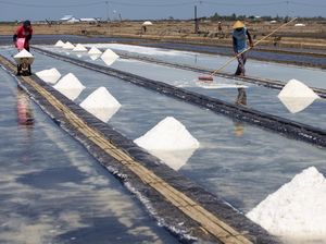 Begini Cara Petani Panen Garam di Indramayu