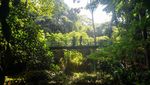 Berkunjung ke Hutan Kota Terbaik di Indonesia