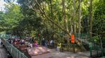 Berkunjung ke Hutan Kota Terbaik di Indonesia