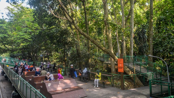 Warga berada di salah satu sudut Hutan Kota Babakan Siliwangi, Bandung, Jawa Barat, Rabu (4/9/2024). Pada 2023 lalu, Hutan kota Babakan Siliwangi mendapat plakat Adipura sebagai hutan kota terbaik di Indonesia yang memiliki luas 3,2 hektar dan dikelilingi Forest Walk sepanjang 2 kilometer serta terdapat 70 jenis flora dan fauna. ANTARA FOTO/Raisan Al Farisi/rwa.