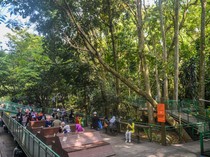 Berkunjung ke Hutan Kota Terbaik di Indonesia