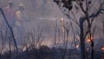 Hutan Nasional Brasilia Terbakar Hebat