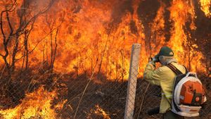 Hutan Nasional Brasilia Terbakar Hebat