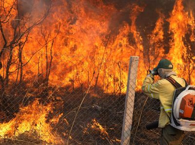 Hutan Nasional Brasilia Terbakar Hebat