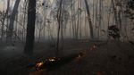 Hutan Nasional Brasilia Terbakar Hebat