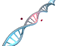 Ternyata Tes DNA Punya Beragam Tujuan, Apakah Ada Risiko Eror?