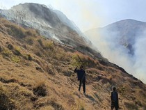 Kebakaran 286 Hektare Lahan di Bukit Anak Dara karena Kelalaian Pendaki