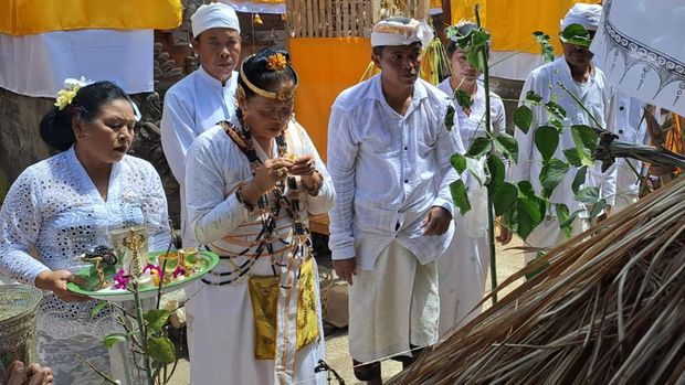 Pelaksanaan karya agung ngenteg linggih, mupuk pedagingan lan padudusan agung di Pura Manik Mas Desa Nyanglan, Kecamatan Banjarangkan, Klungkung dan Tembuku Bangli, Sabtu (31/9/2024). (Istimewa / Wayan Antarini).