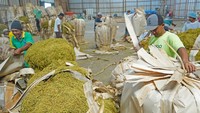 Sejumlah pabrik rokok besar membeli tembakau Temanggung dengan harga berkisar Rp 50.000 - Rp75.000 per kilogram untuk grade C dan D.  