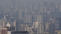 Tercatat sebanyak 28.697 kebakaran yang dilaporkan di wilayah Amazon pada Agustus, 38% lebih tinggi dari rata-rata 10 tahun, kata WWF-Brasil, mengutip data dari National Institute for Space Research yang dikenal sebagai Inpe. Jumlahnya melebihi 50.000 dalam setahun hingga 27 Agustus, yang merupakan jumlah terbanyak sejak 2010, katanya, seperti dilansir Bloomberg, Minggu (1/9) waktu setempat.