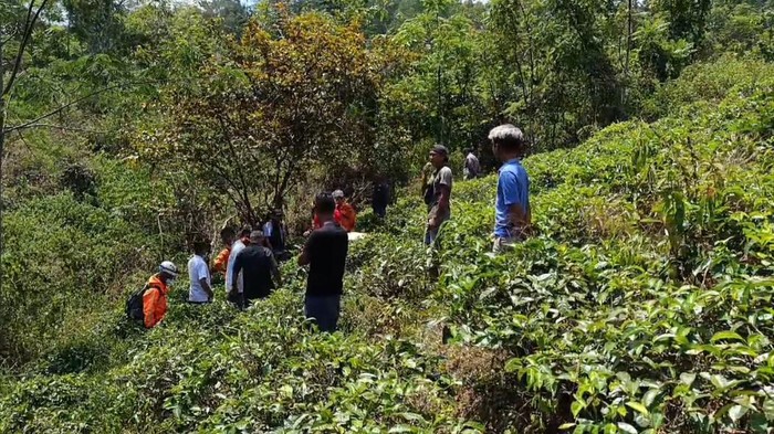 Penemuan mayat di kebun teh Sumedang.