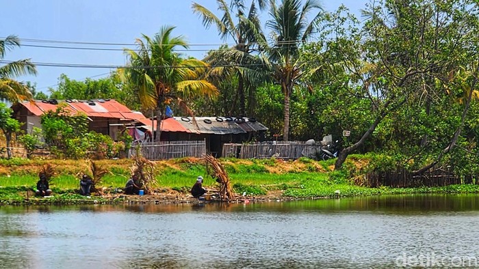 Rawa Talnaca di Kabupaten Sukabumi.