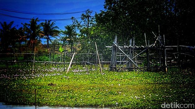 Rawa Talnaca di Kabupaten Sukabumi.