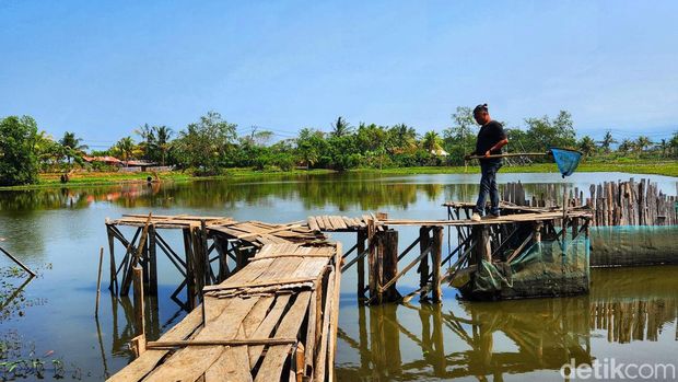 Rawa Talnaca di Kabupaten Sukabumi.
