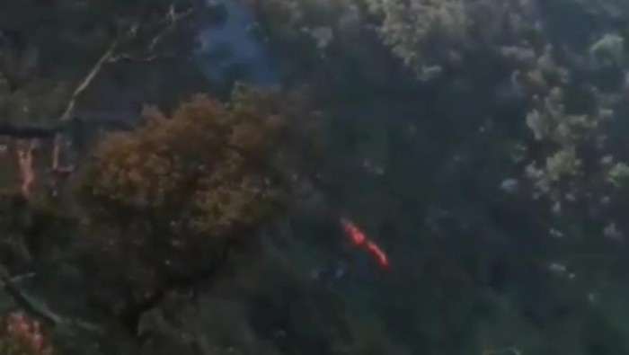 Tangkapan layar video kebakaran di hutan Gunung Tangkuban Parahu