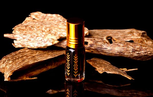 Agarwood Gaharu. Dok. Ina Export