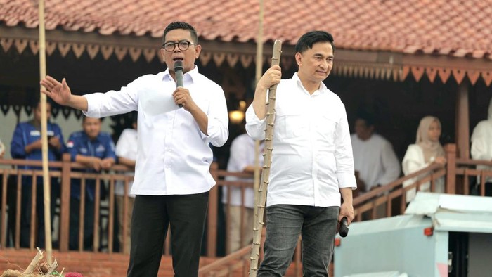 Andra Soni-Dimyati