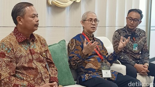 Dirut RSUP Prof Ngoerah I Wayan Sudana dan Tenaga Medis di RSCM Chaidir Arif Mochtar saat konferensi pers di Denpasar, Bali, Kamis (5/9/2024).