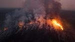 Hutan Amazon Membara, 7,4 Juta Hektar Lahan Terbakar