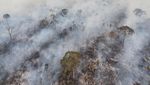 Hutan Amazon Membara, 7,4 Juta Hektar Lahan Terbakar
