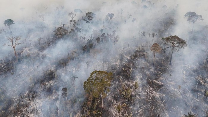 A drone view of a forest fire in the Amazon in an area of the Trans-Amazonian Highway BR230 in Labrea, Amazonas state, Brazil September 4, 2024. REUTERS/Bruno Kelly