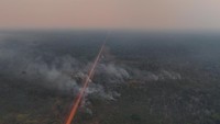 Hutan Amazon membentang jauh di wilayah benua Amerika bagian selatan, meliputi Brasil, Bolivia, Venezuela, Guyana, dan Suriname. Di semua negara kasus kebakaran hutan melonjak tinggi dalam periode yang sama.  