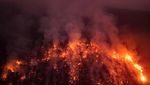 Hutan Amazon Membara, 7,4 Juta Hektar Lahan Terbakar