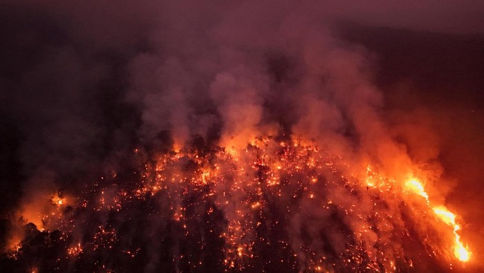 A drone view of a forest fire in the Amazon in an area of the Trans-Amazonian Highway BR230 in Labrea, Amazonas state, Brazil September 4, 2024. REUTERS/Bruno Kelly