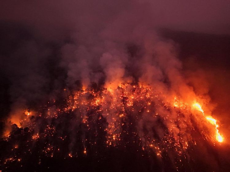 Hutan Amazon Membara, 7,4 Juta Hektar Lahan Terbakar