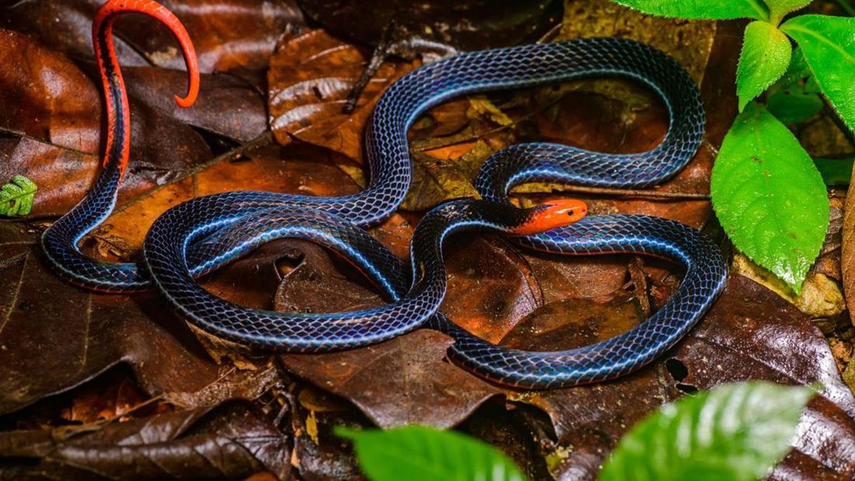 Erim va dostim bilan