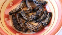 Jajanan aneh juga ditemui di Zimbabwe, Afrika Selatan. Berupa olahan ulat bulu yang digoreng dengan campuran tomat, bawang putih, bawang bombai, kacang-kacangan, dan cabai. Foto: site news