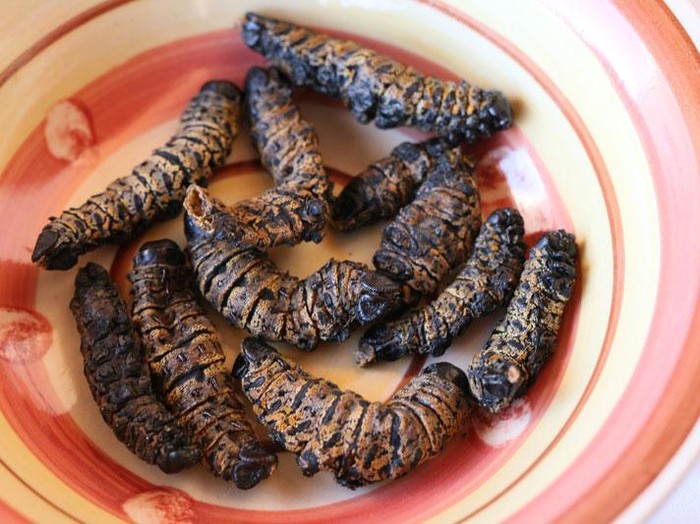 jajanan kaki lima aneh di dunia