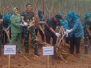 Cegah Stunting, 80 Ton Singkong Dibagikan Cuma-cuma ke Warga Lubuklinggau