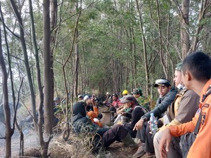 Kebakaran Hutan TNBTS di Lumajang Berhasil Dipadamkan