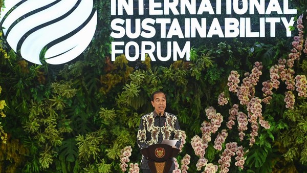 Jokowi-Luhut Dorong Percepatan Energi Bersih