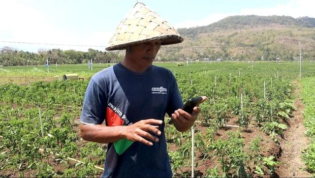 Petani sekaligus polisi, Aipda Anto Harmoko saat memberikan perintah suara melalui smartphone untuk menyirami lahan pertaniannya di Bantul.