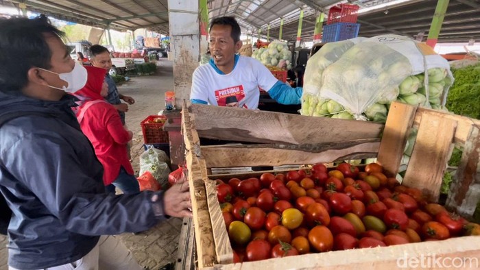 Petani tomat di Malang