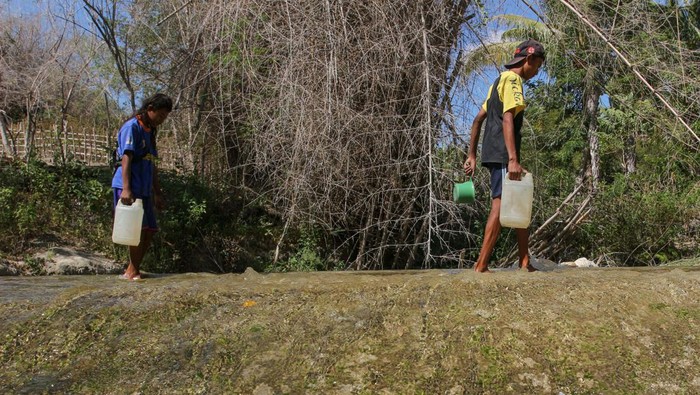 Potret Warga NTT Kesulitan Air Bersi Warga membawa berikan berisi air bersih yang diambil di sungai Desa Oesusu, Kabupaten Kupang, Nusa Tenggara Timur (NTT), Kamis (5/9/2024). Warga desa setempat mengalami kesulitan air bersih akibat musim kemarau sehingga terpaksa harus mengambil air dari aliran sungai yang mengecil untuk kebutuhan air minum. ANTARA FOTO/Mega Tokan/sgd/aww.