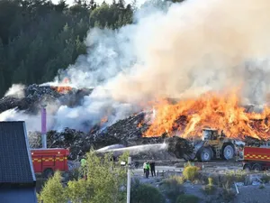 Ratu Sampah Diadili Swedia, Bikin Kejahatan Lingkungan Terbesar