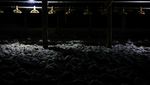 Ribuan Ayam Mati Lemas Akibat Kebakaran Hutan di Ekuador