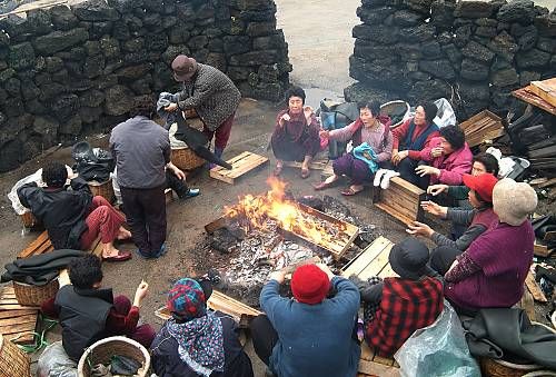 Penyelam Wanita di Pulau Jeju Jadi Andalan Penghasil Seafood Segar