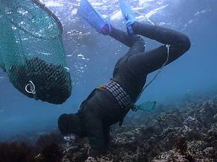 Penyelam Wanita di Pulau Jeju Jadi Andalan Penghasil Seafood Segar