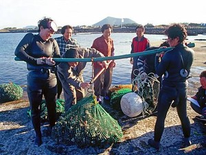 Penyelam Wanita di Pulau Jeju Jadi Andalan Penghasil Seafood Segar