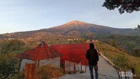 Panorama Gunung Sumbing setelah matahari terbit.
