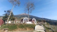 Glamping alias Glamour Camping di Desa Mangli.