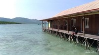 Wisma apung dan penangkaran hiu asri