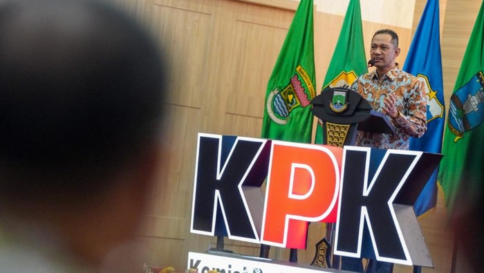 Wakil Ketua KPK Nurul Ghufron (dok istimewa).