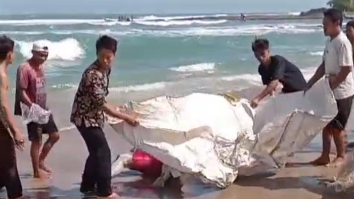 Warga evakuasi mayat pria tanpa identitas mengapung di Pantai Rancecet. Dok istimewa