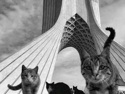 Foto Bangunan Unik dan Aneh Bikin Tercengang