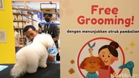 Pameran hewan peliharaan dan produk keperluan hewan tersebut digelar hingga 8 September mendatang.